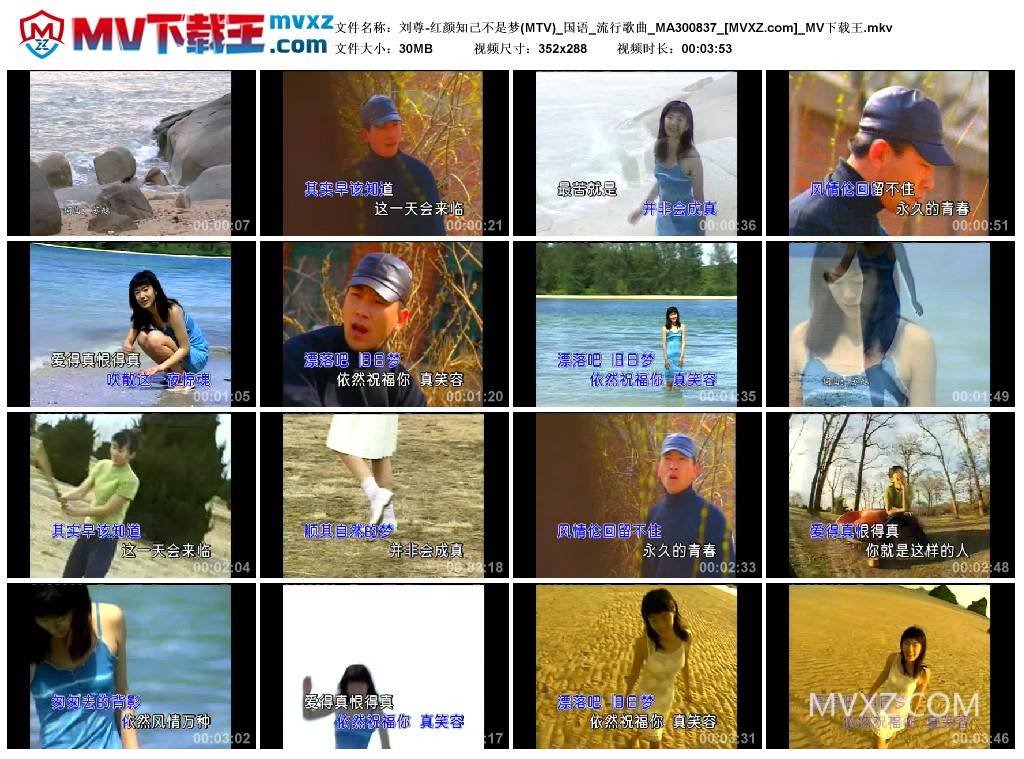 刘尊-红颜知己不是梦(MTV)_国语_流行歌曲_MA300837